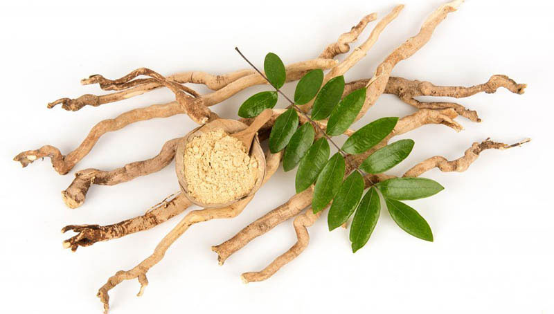 Mật Nhân là gì ?