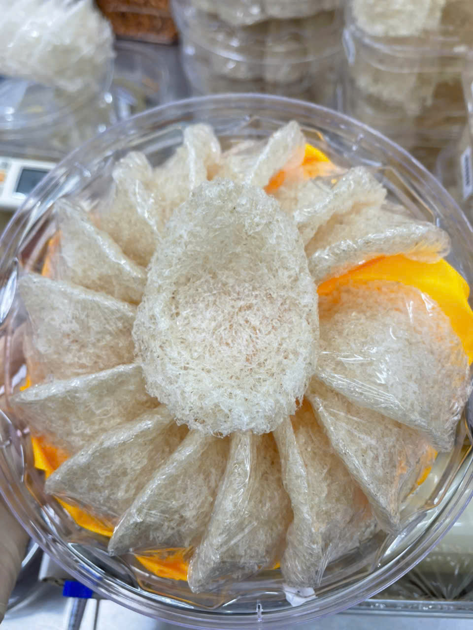 Yến đảo là gì ?