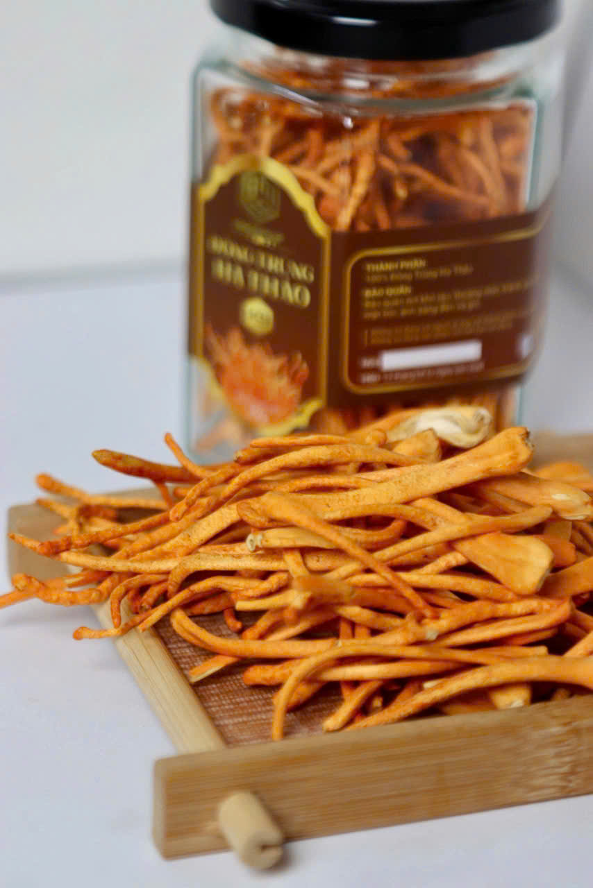 Những lợi ích vàng khi sử dụng sợi Đông Trùng Hạ Thảo