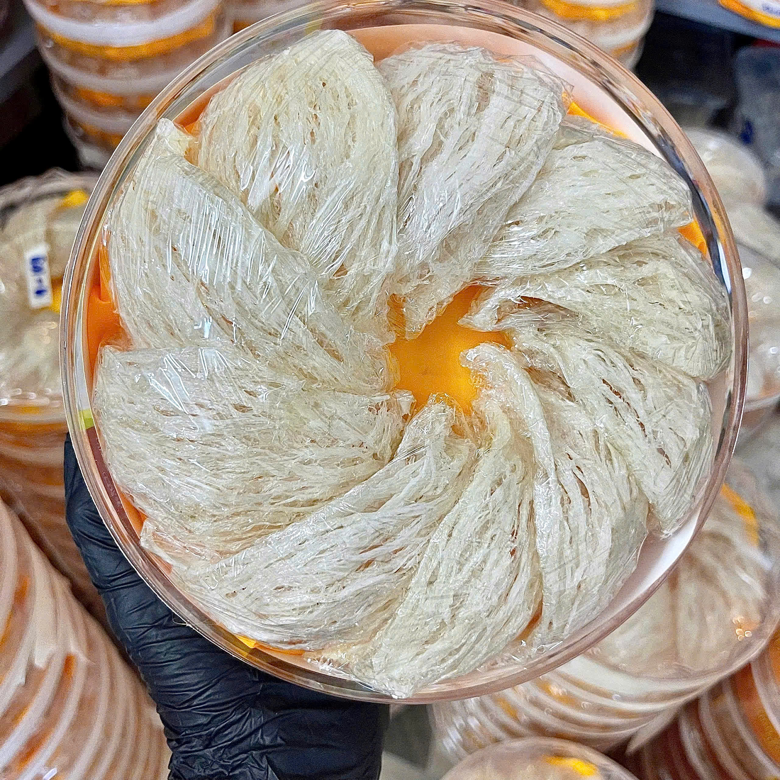 Ai nên sử dụng Yến Đảo?