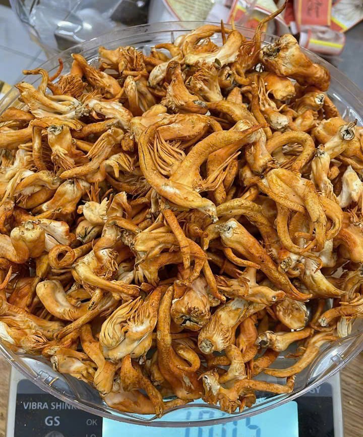 Cách Chọn Mua Mầm Đông Trùng Hạ Thảo Chất Lượng, An Toàn Và Hiệu Quả