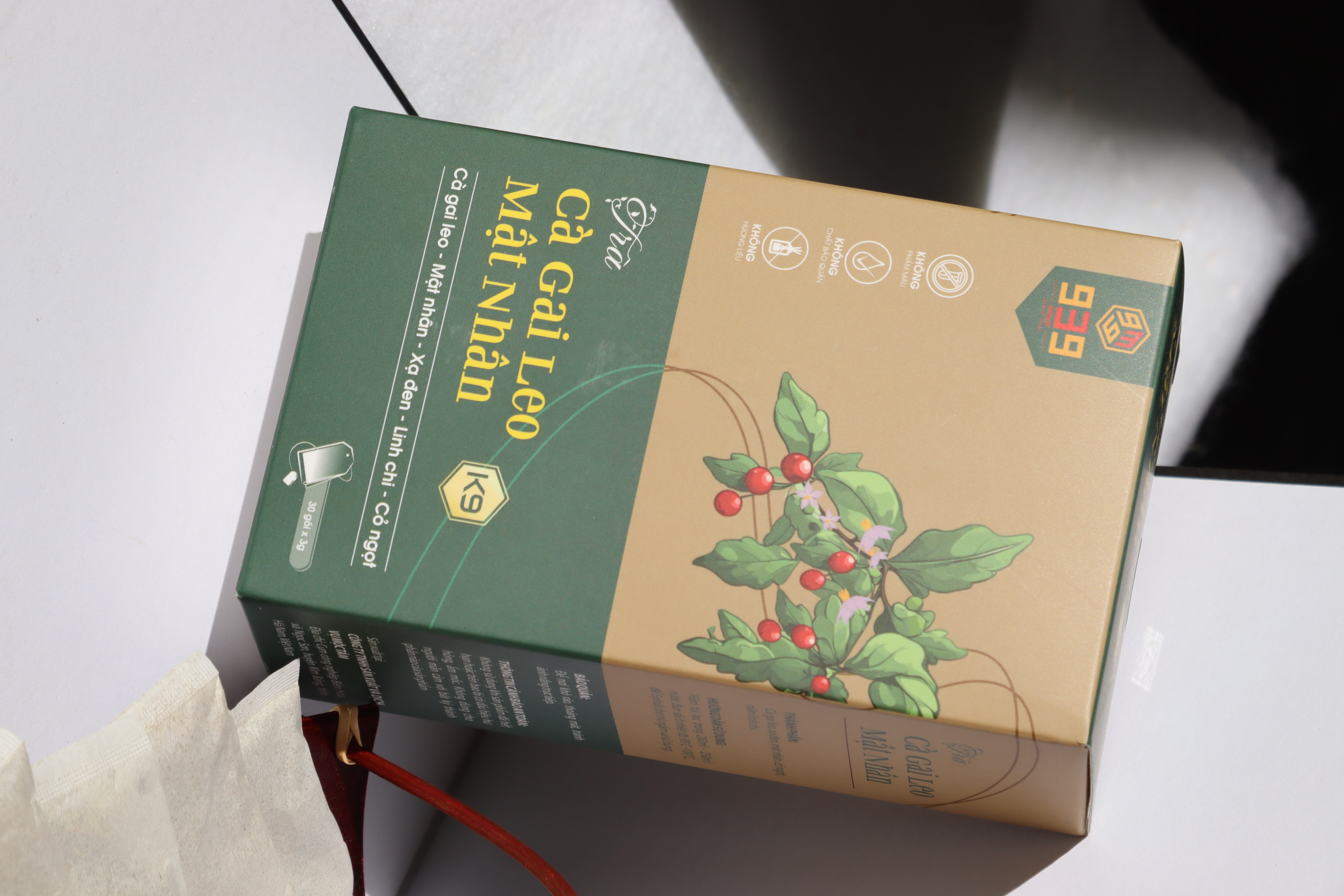 Cà Gai Leo Mật Nhân -Bí quyết giúp lá gan khỏe