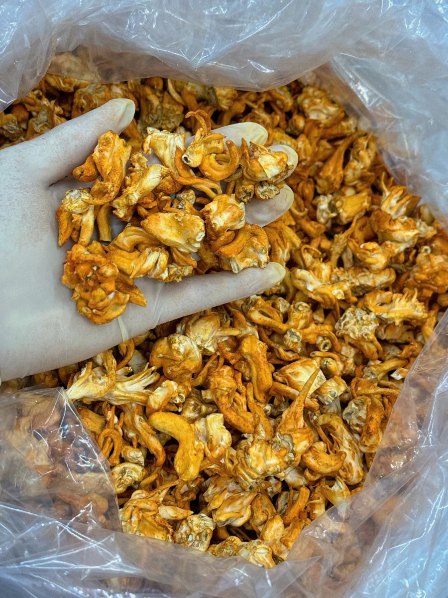 Bí quyết tăng đề kháng cuối năm