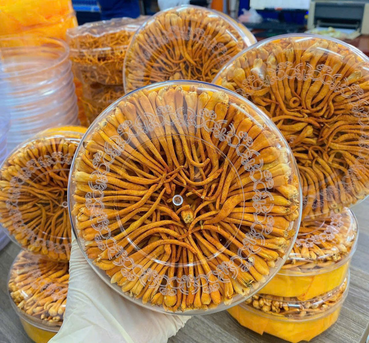 5 lợi ích nổi bật của đông trùng hạ thảo Herbalgreen với sức khỏe