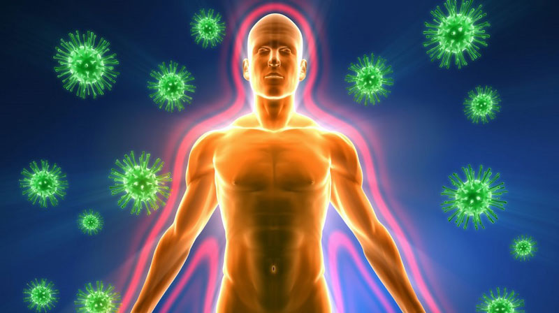 Gan và hệ miễn dịch có liên quan gì?