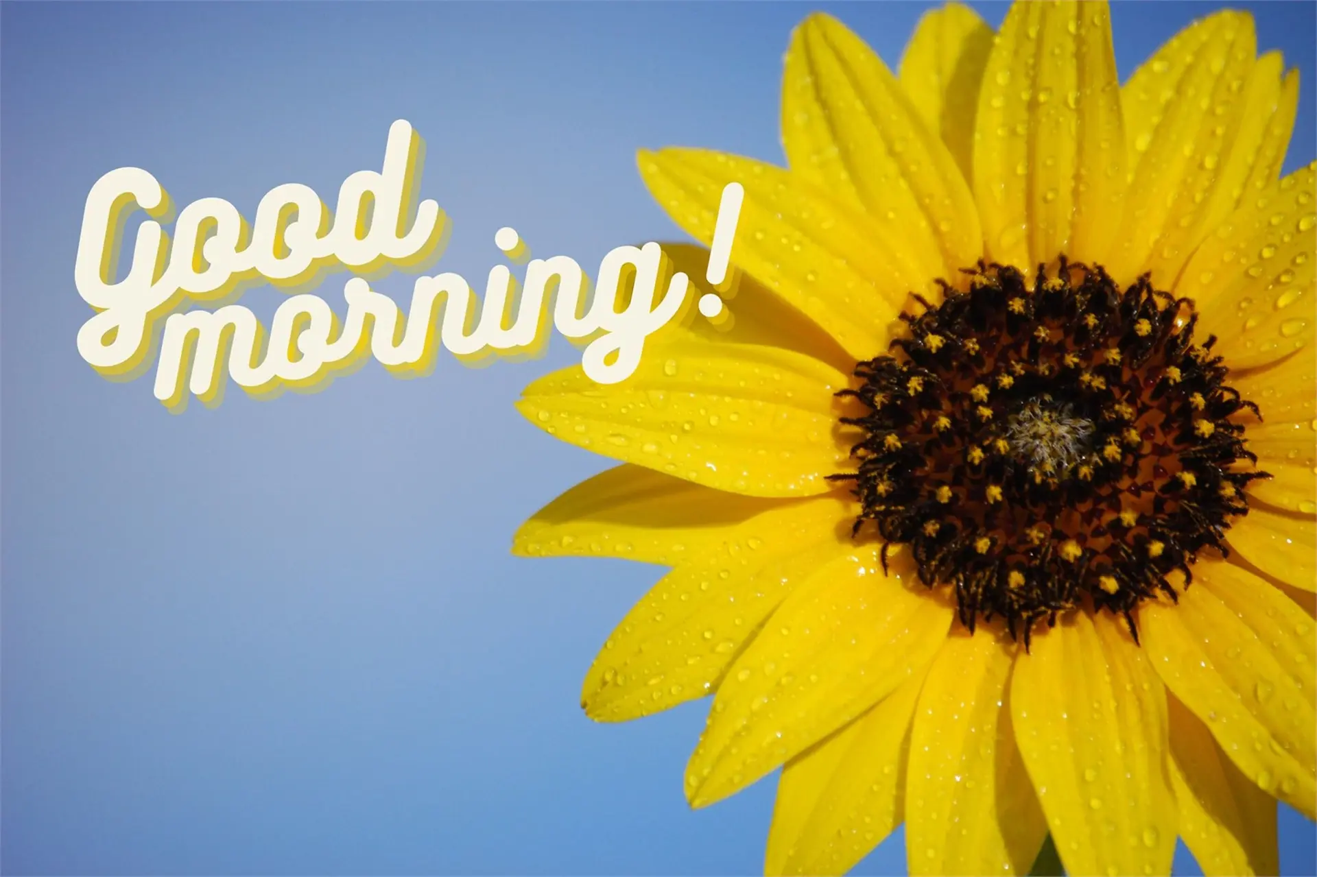 Check list buổi sáng: bạn có đang bắt đầu ngày mới đúng cách?