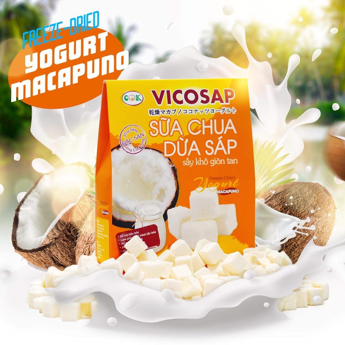 Sữa chua dừa sáp sấy giòn tan hộp 25g