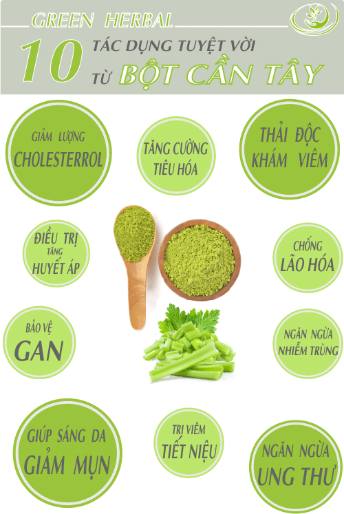 10 Lợi ích từ cây cần tây - Green Herbal