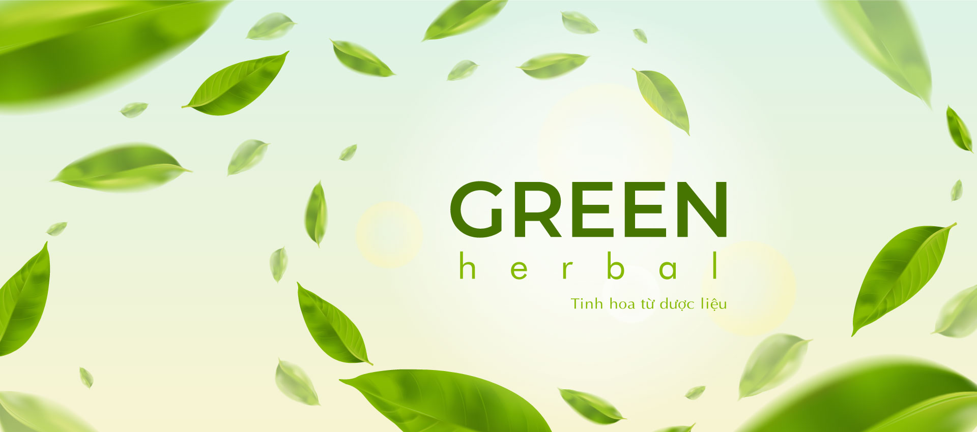 Cao khô Dược liệu Green Herbal