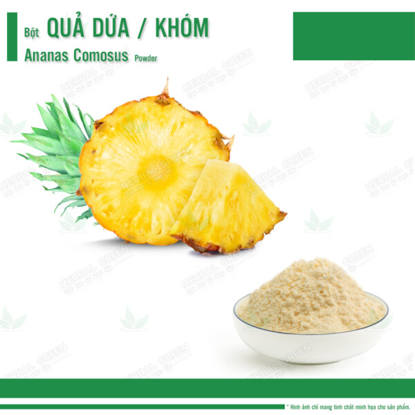 Bột Dứa (Khóm / Thơm) - Ananas Comosus Powder