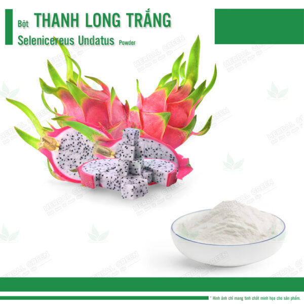 Bột Thanh Long - Selenicereus Undatus Powder