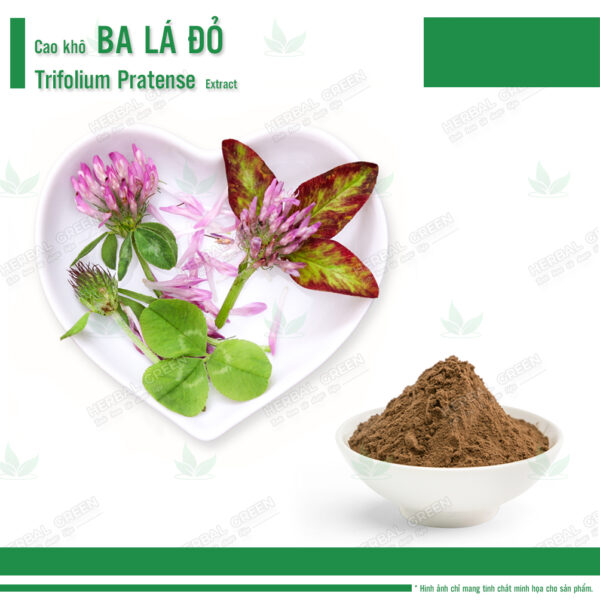 Cao khô Ba Lá Đỏ - Trifolium Pratense Extract