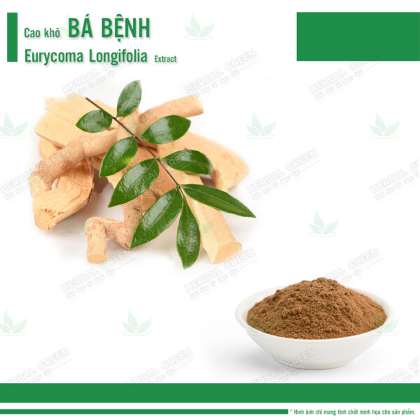 Cao kho Ba benh Mat Nhan Bach benh Eurycoma Longifolia