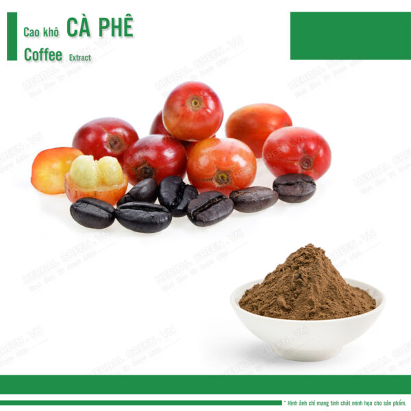Cao khô Cafe - Coffee Extract