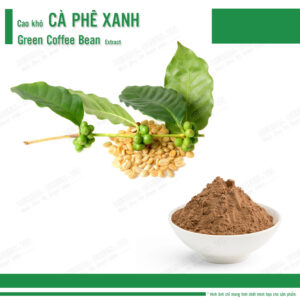 Cao khô Cafe Xanh - Green Coffee Bean Extract