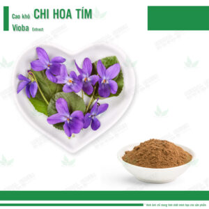 Cao khô Chi Hoa Tím - Viola Extract
