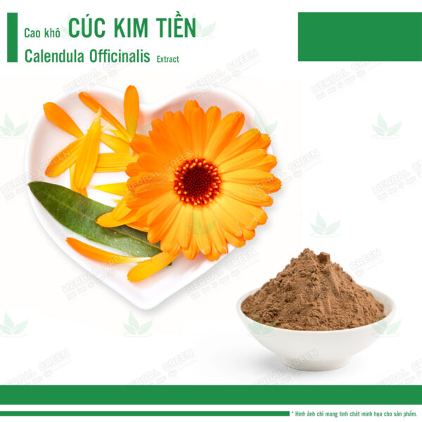 Cao kho Cuc Kim Tien Calendula officinalis