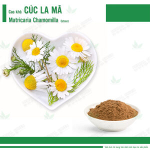 Cao khô Cúc La Mã - Matricaria Chamomilla Extract