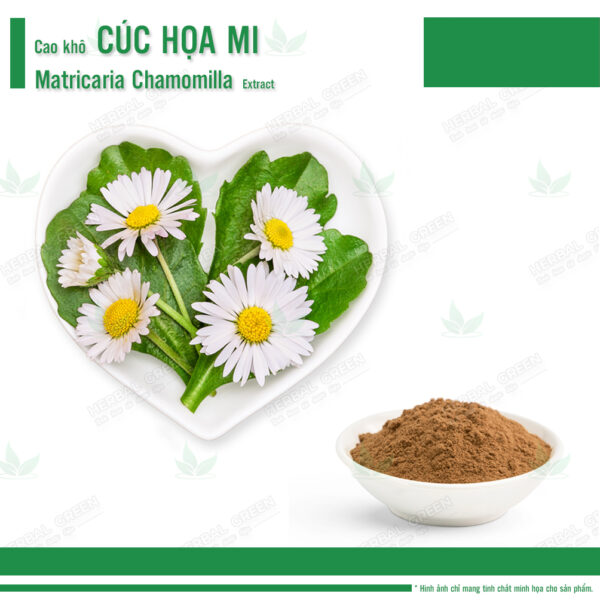 Cao khô Cúc Họa Mi - Matricaria Chamomilla Extract