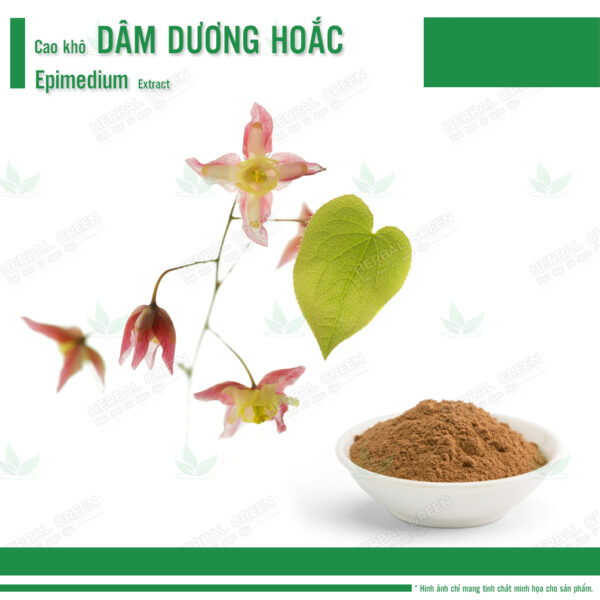 Cao kho Dam duong hoac Epimedium