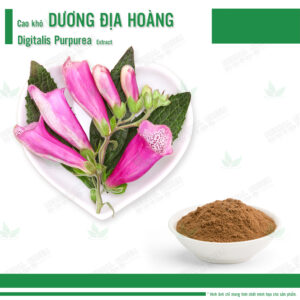 Cao kho Duong Dia Hoang Digitalis Purpurea Extract
