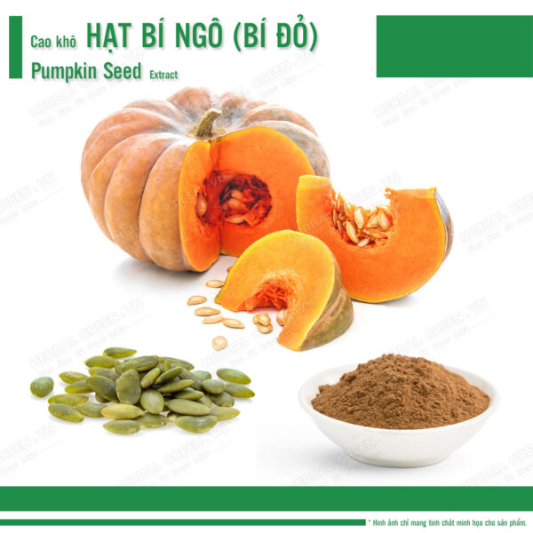 Cao khô Hạt Bí Ngô (Bí đỏ) - Pumpkin Seed - Extract