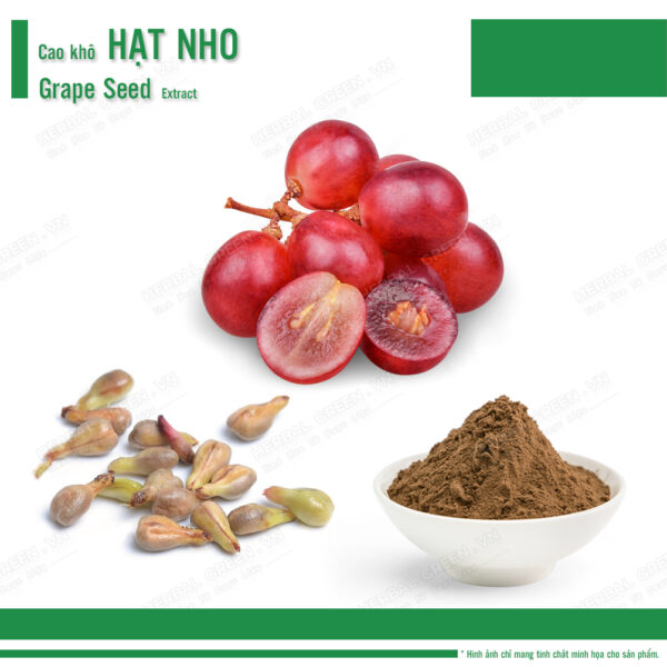 Cao khô Hạt nho - Grape Seed Extract