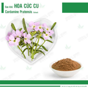 Cao khô Hoa Cúc Cu - Cardamine Pratensis Extract