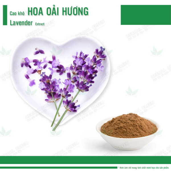 Cao kho Hoa Oai Huong Lavender