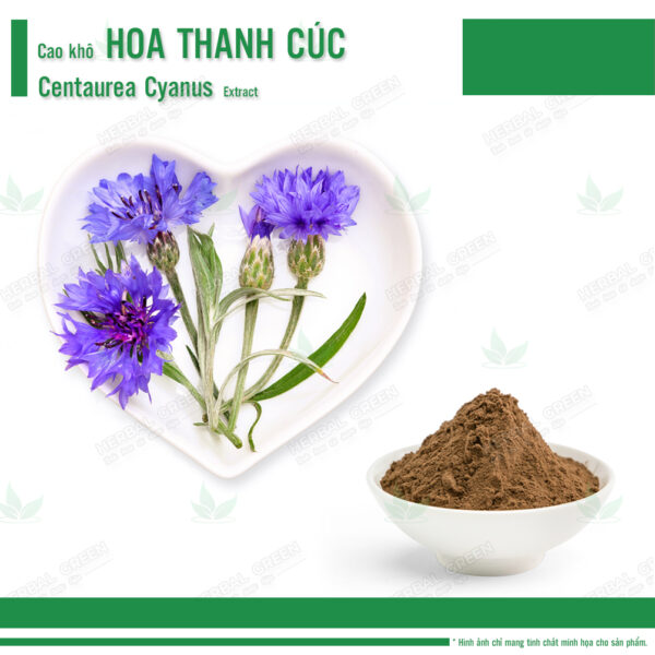 Cao khô Hoa Thanh Cúc - Centaurea Cyanus Extract