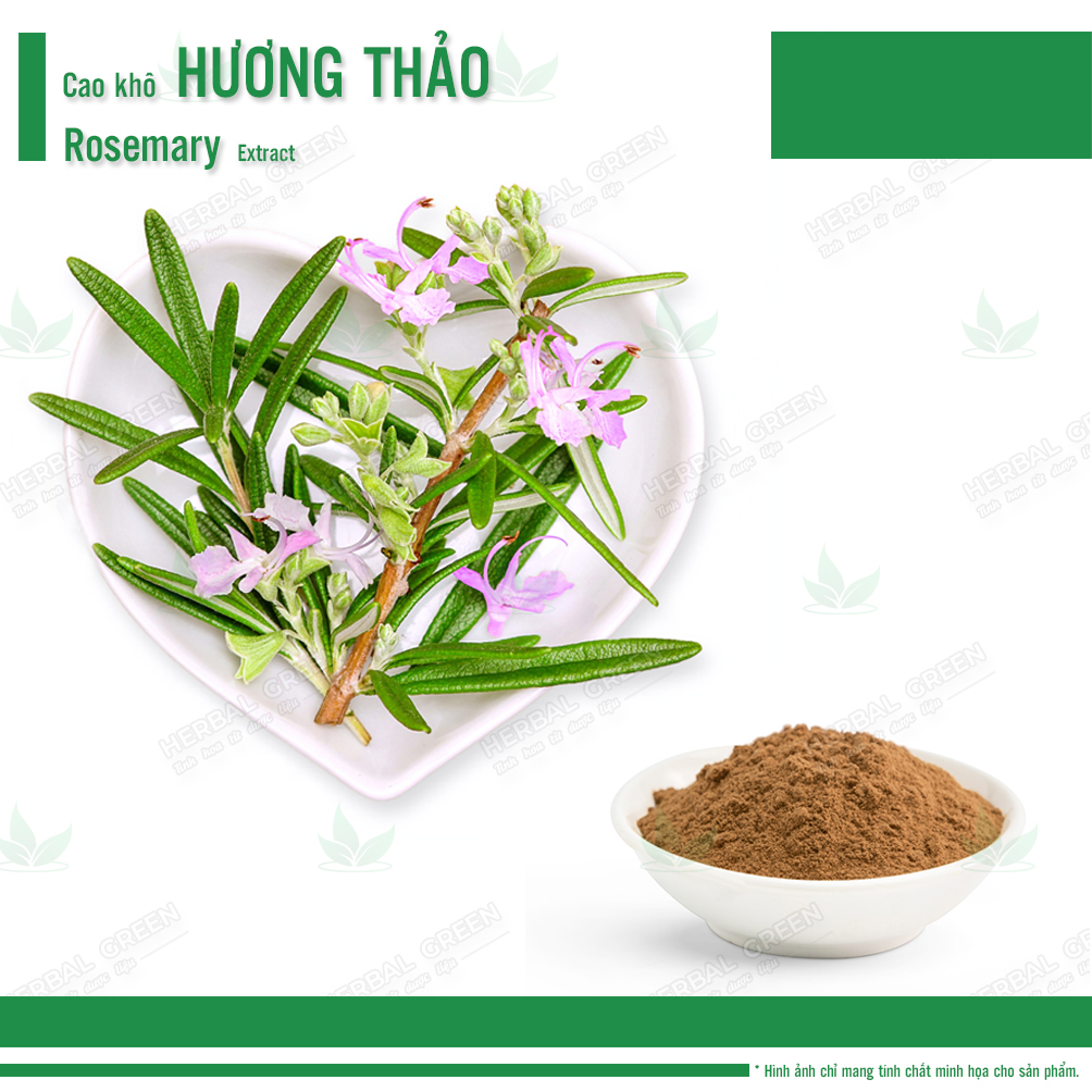 Cao khô Hương Thảo - Rosemary Extract