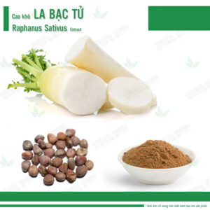 Cao kho La Bac Tu Raphanus Sativus Extract