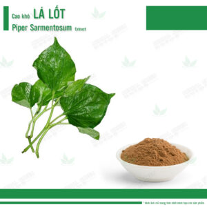 Cao kho La Lot Piper Sarmentosum Extract