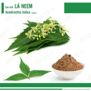 Cao khô Lá Neem - Azadirachta indica Extract