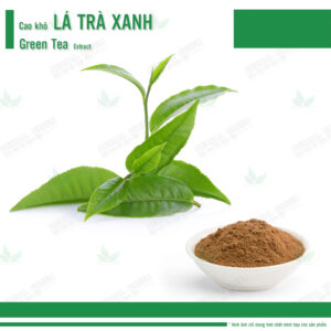 Cao khô Lá Trà Xanh - Green Tea Extract