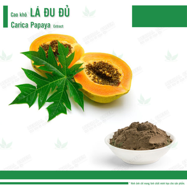 Cao kho La du du Carica papaya