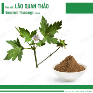Cao khô Lão Quan thảo - Geranium thunbergii Extract