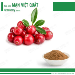Cao khô Mạn Việt Quất (Nam việt quất) - Cranberry Extract