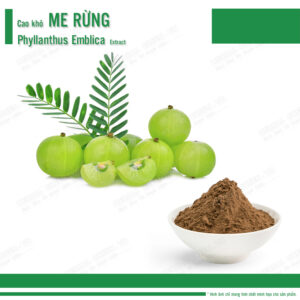 Cao khô Me Rừng - Phyllanthus Emblica Extract