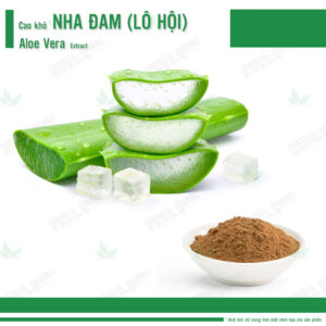 Cao khô Lô Hội (Nha Đam) - Aloe Vera Extract