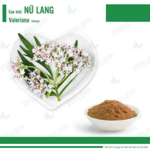 Cao khô Nữ Lang - Valeriana Extract