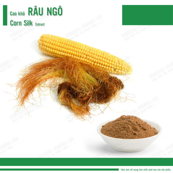 Cao khô Râu ngô - Corn Silk Extract