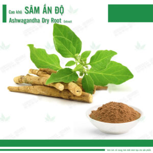 Cao kho Sam An Do Ashwagandha Dry Root Extract