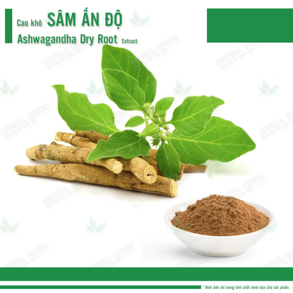 Cao kho Sam An Do Ashwagandha Dry Root