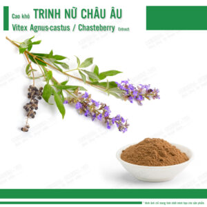 Cao khô Trinh Nữ Châu Âu - Vitex Agnus-castus (chasteberry) Extract