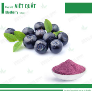 Cao khô Việt Quất - Blueberry Extract