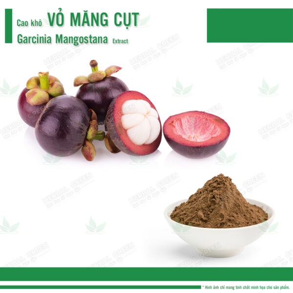 Cao khô Vỏ Măng Cụt - Garcinia Mangostana Extract